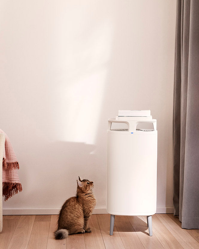 Blueair DustMagnet™ 5210i Combo Filter - Ecotip Solutions