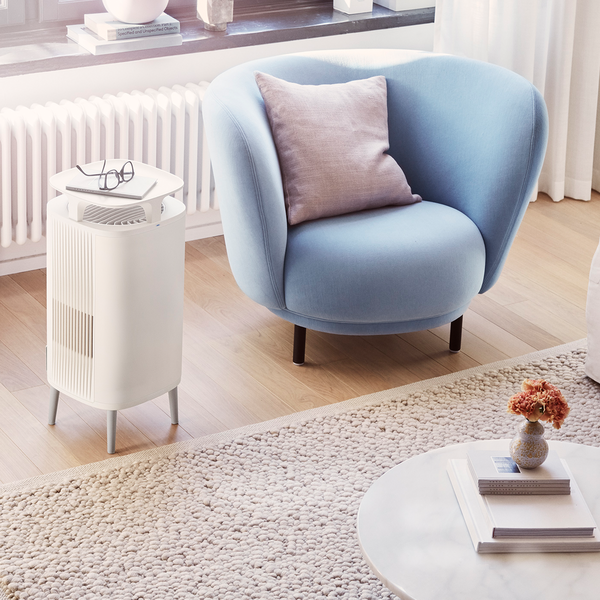 Blueair DustMagnet™ 5210i Combo Filter - Ecotip Solutions
