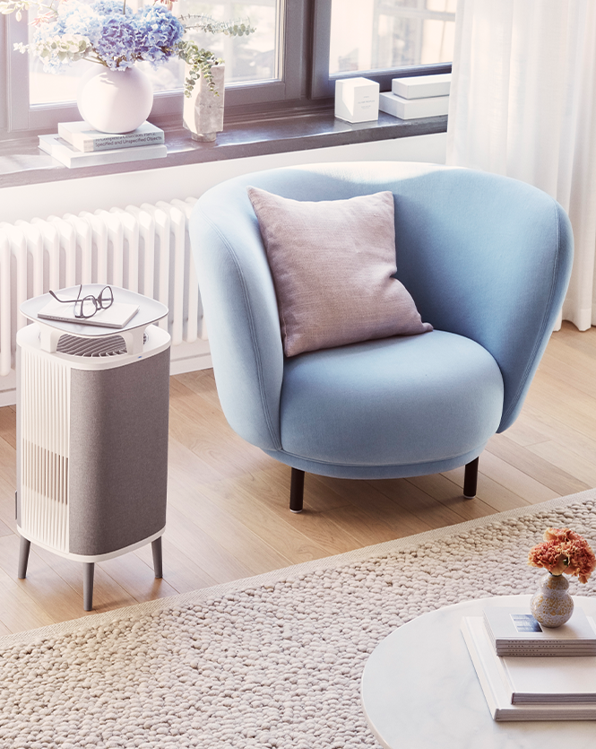 Blueair DustMagnet™ 5240i Combo Filter - Ecotip Solutions