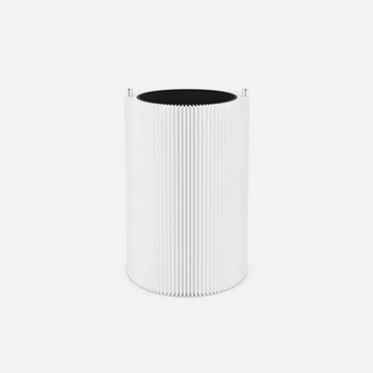 Blue 3410 Particle + Carbon Filter - Ecotip Solutions
