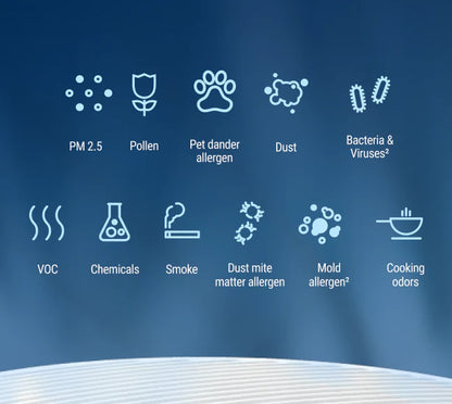 Blue 3610 Particle + Carbon filter